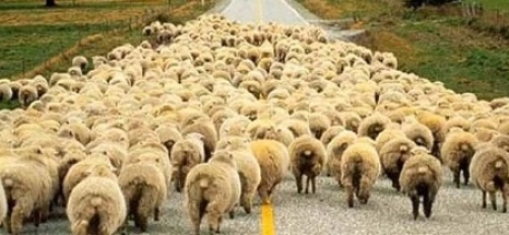 Братья-самогонщики обеспечили милиции одно из самых крупных изъятий самопального алкоголя